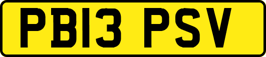 PB13PSV