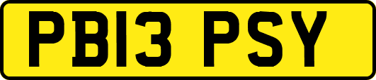 PB13PSY