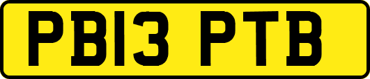 PB13PTB