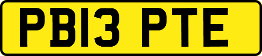 PB13PTE