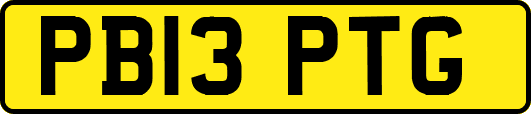 PB13PTG