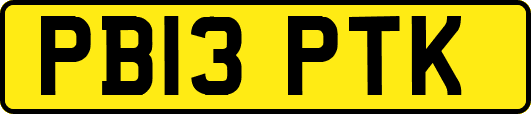 PB13PTK