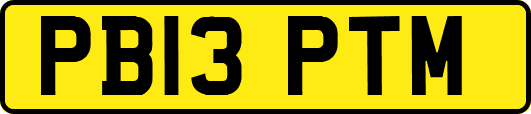PB13PTM