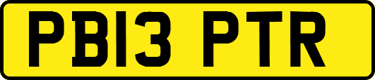 PB13PTR