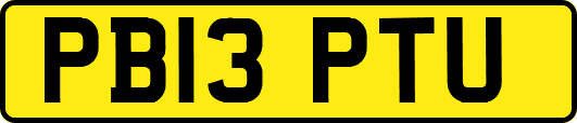 PB13PTU