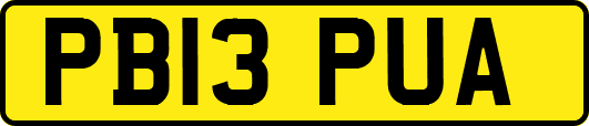 PB13PUA