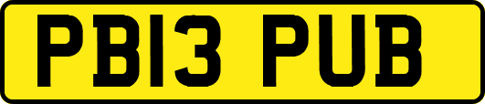 PB13PUB