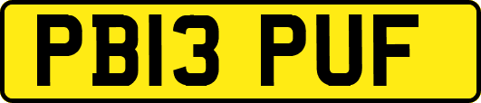 PB13PUF