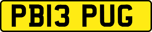 PB13PUG