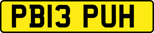 PB13PUH