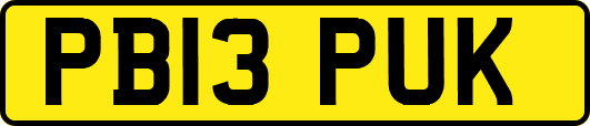 PB13PUK