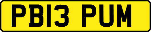 PB13PUM
