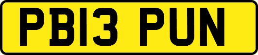 PB13PUN