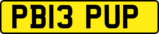 PB13PUP