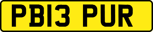 PB13PUR