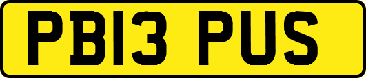 PB13PUS