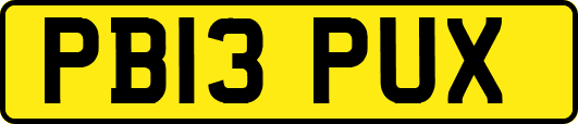 PB13PUX