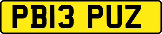 PB13PUZ