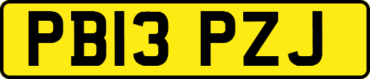 PB13PZJ