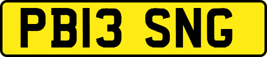 PB13SNG