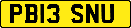PB13SNU
