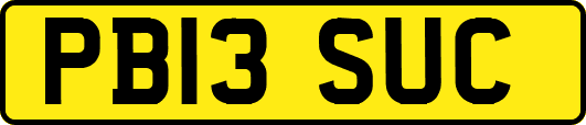 PB13SUC