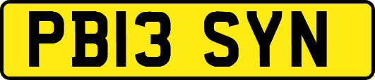 PB13SYN