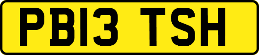 PB13TSH