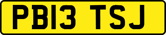 PB13TSJ