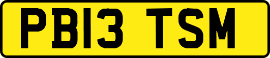 PB13TSM