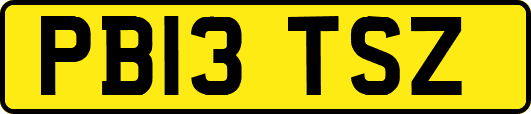 PB13TSZ