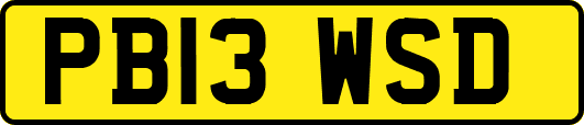 PB13WSD