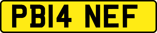 PB14NEF