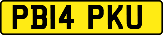 PB14PKU
