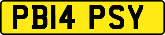 PB14PSY