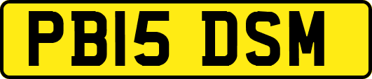 PB15DSM