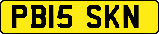 PB15SKN