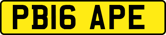 PB16APE