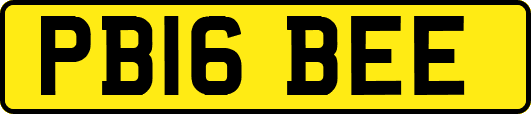 PB16BEE