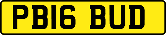 PB16BUD