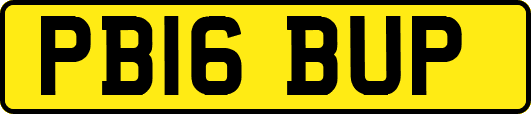 PB16BUP