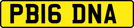 PB16DNA
