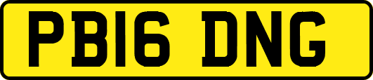 PB16DNG