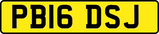 PB16DSJ