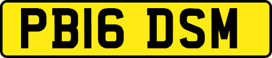 PB16DSM