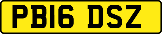 PB16DSZ