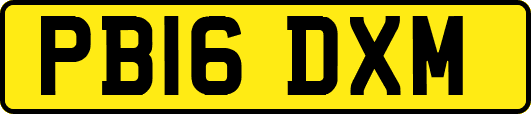 PB16DXM