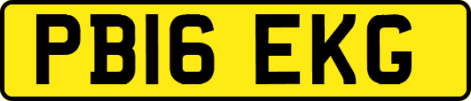 PB16EKG
