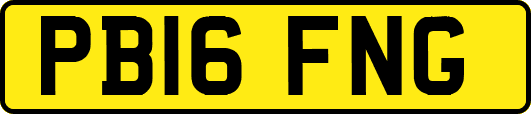 PB16FNG