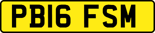 PB16FSM